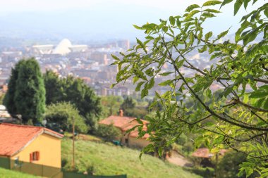 Ağaç dalları köy ve şehir ile dağın üzerinden üstten görünüm