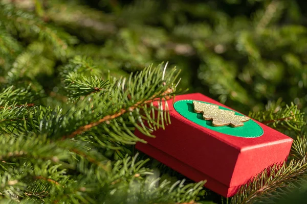 Geheimnisvolle Neujahrsgeschenke Kostbare Dekorationen Eine Geschenkschachtel Auf Den Zweigen Eines — Stockfoto