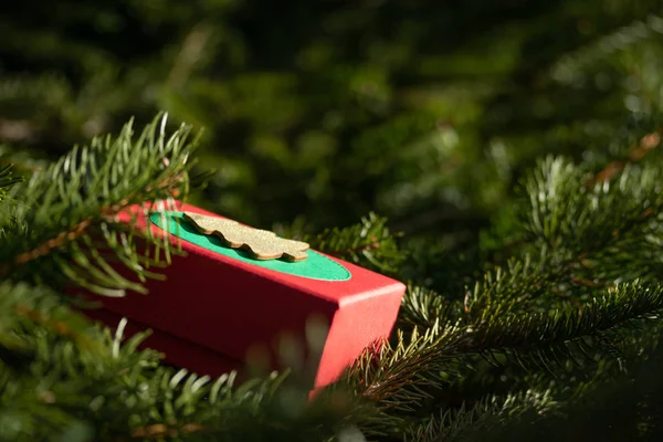 Geheimnisvolle Neujahrsgeschenke Kostbare Dekorationen Eine Geschenkschachtel Auf Den Zweigen Eines — Stockfoto