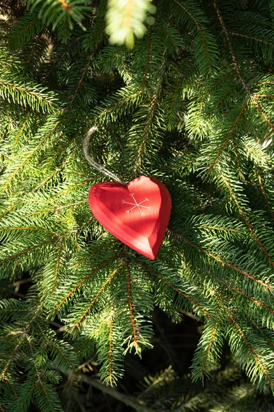 Schöne Grußkarte Mit Neujahr 2019 Und Fröhlichem Valentinstag Weihnachtsbaumzweige Mit — Stockfoto