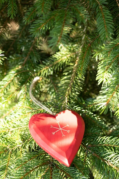 Schöne Grußkarte Mit Neujahr 2019 Und Fröhlichem Valentinstag Weihnachtsbaumzweige Mit — Stockfoto