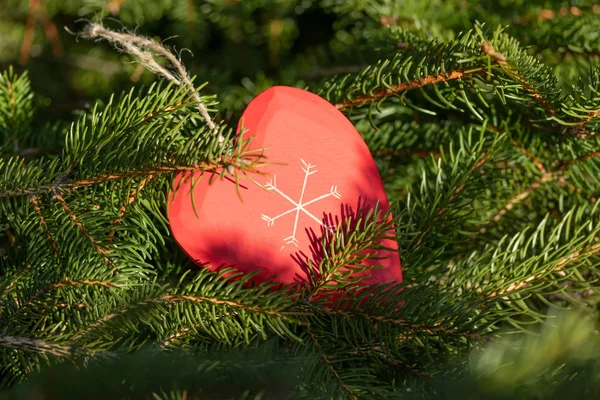 Schöne Grußkarte Mit Neujahr 2019 Und Fröhlichem Valentinstag Weihnachtsbaumzweige Mit — Stockfoto