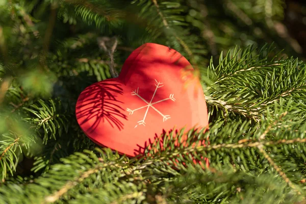 Schöne Grußkarte Mit Neujahr 2019 Und Fröhlichem Valentinstag Weihnachtsbaumzweige Mit — Stockfoto