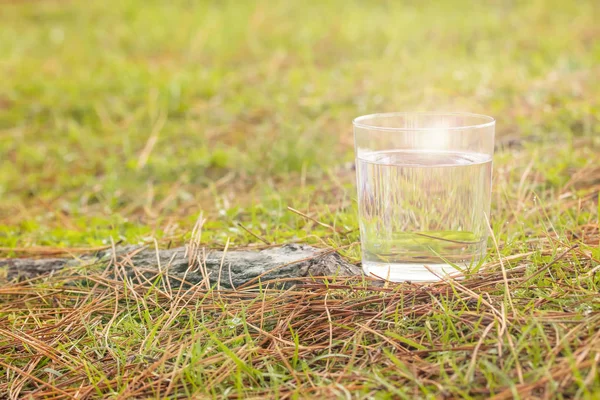 Acqua Limpida Bicchiere Trasparente Sull Erba Nella Foresta Accanto Rizoma — Foto Stock