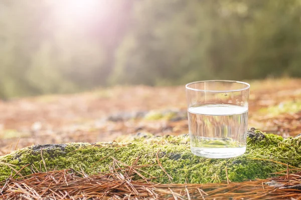 Clear water in a clear glass against the background of green moss and fallen pine needles in a coniferous forest. Healthy food and ecologically pure natural water from a spring