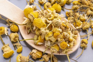 Gri bir plaka üzerinde bir tahta kaşık papatya çiçek kurutulmuş.