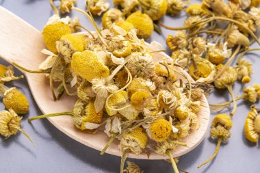 Gri bir plaka üzerinde bir tahta kaşık papatya çiçek kurutulmuş.