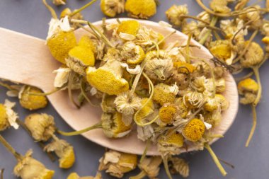 Gri bir plaka üzerinde bir tahta kaşık papatya çiçek kurutulmuş.