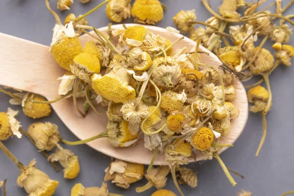 Gri bir plaka üzerinde bir tahta kaşık papatya çiçek kurutulmuş.