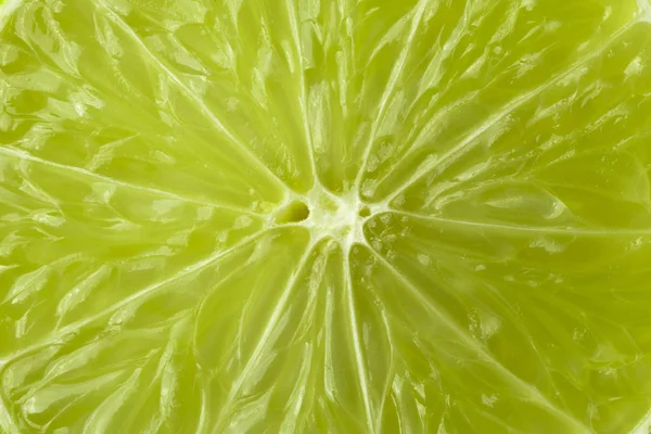 A slice of lime is a large species. — Stock Photo, Image