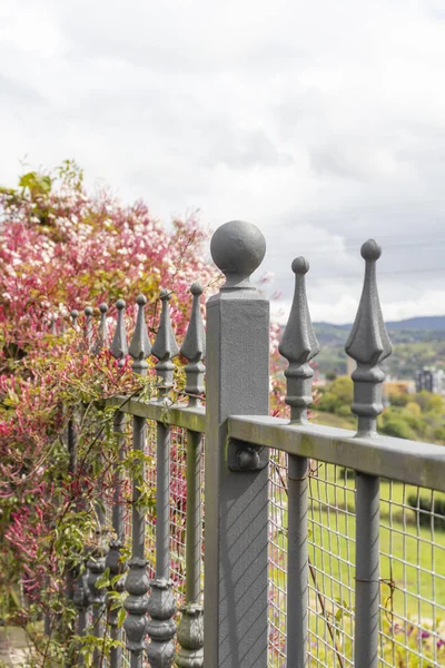 Pembe çiçekler ile metal çit