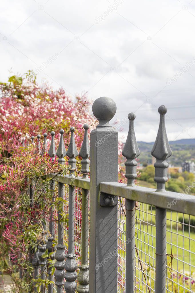 Metal fence with pink flowers