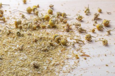 Şifalı kurutulmuş papatya dağınık