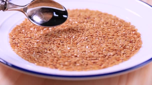 Семена льна на тарелке с ложкой — стоковое видео