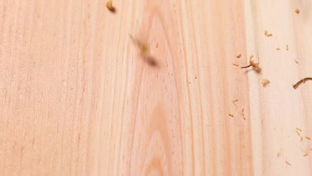 Dried medical chamomile flowers fall on a wooden table — Stock Video