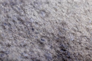 Şampuan veya temizlik maddesi köpük kabarcıklarının yapısı