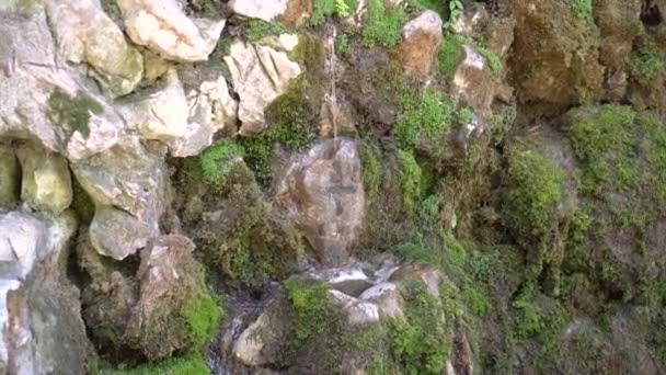 Strömmen av färskt kallt vatten på våren faller omgiven av gamla stenar — Stockvideo