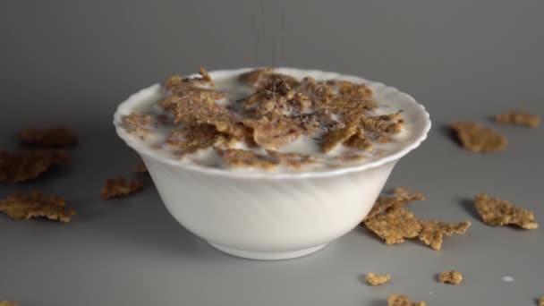 씨앗은 우유로 오트밀로 채워진 접시에 천천히 떨어집니다 다이어트 개념입니다 슬로우 — 비디오