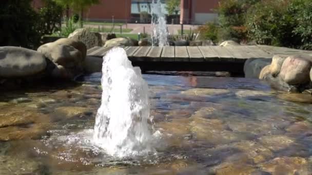 Una Pequeña Fuente Forma Manantial Estanque Arroja Una Corriente Agua — Vídeos de Stock