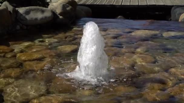 Liten Fontän Form Fjäder Damm Kastar Ström Vatten Upp Botten — Stockvideo