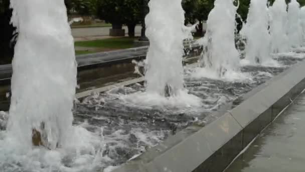 水の泡の流れが上昇し 下がります 都市公園の噴水の路地 スローモーション マグノリアの木を背景に — ストック動画