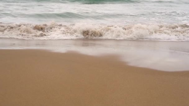 Calm Evening Ocean Surf Foamy Waves Fill Sandy Beach Concept — Stock Video