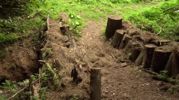 Eine Kleine Brücke Aus Baumstämmen Und Stroh Über Einen Bach — Stockvideo