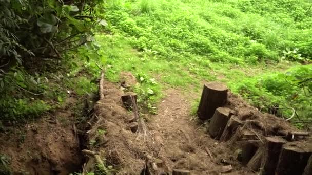 一座小桥的原木和稻草在溪流上 — 图库视频影像