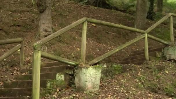 Oude Betonnen Trap Met Log Leuningen Het Wilde Bos Aanloop — Stockvideo