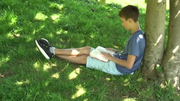 Adolescente Está Leyendo Libro Sentado Hierba Cerca Árbol Camiseta Azul — Vídeos de Stock