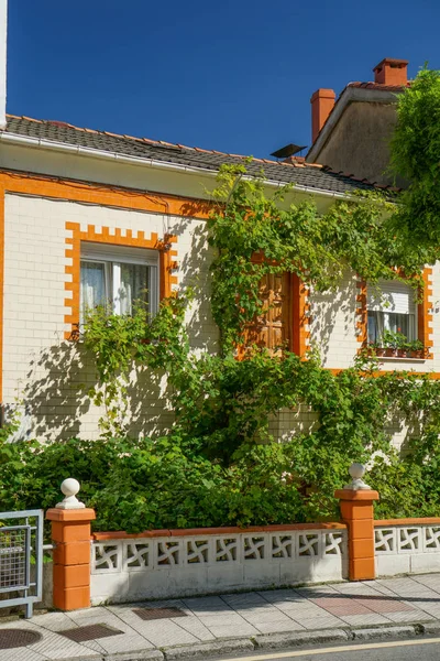 Pitoresk konut tek katlı ev, sarmaşık ile büyümüş