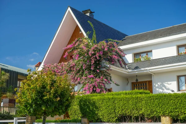 Modern iki katlı yazlık çiçek ve bitki örtüsü ile büyümüş