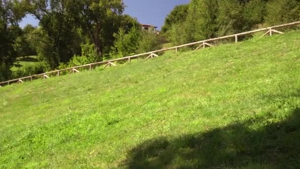 Coteau pittoresque avec de l'herbe, des arbres et un sentier avec des mains courantes en bois. Beauté de la campagne 