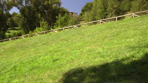 Pittoresca Collina Con Erba Alberi Sentiero Con Corrimano Legno Bellezza — Video Stock