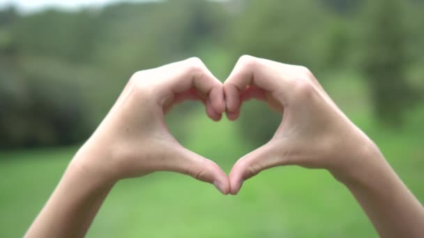 Teenager Verbindet Hände Herzform Auf Einem Hintergrund Aus Grünen Bäumen — Stockvideo