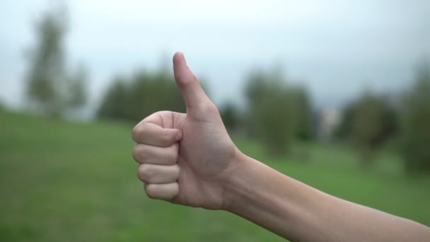 一个十几岁的少年在公园里绿树和天空的背景上举起了 的形状 良好的心情概念 — 图库视频影像
