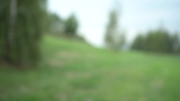 Teen Joins Hands Shape Heart Background Green Trees Sky Park — Stock Video