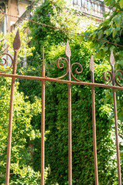 Dikenli telleri olan paslı demir çitler bitkilerle kaplı terk edilmiş bir ev.