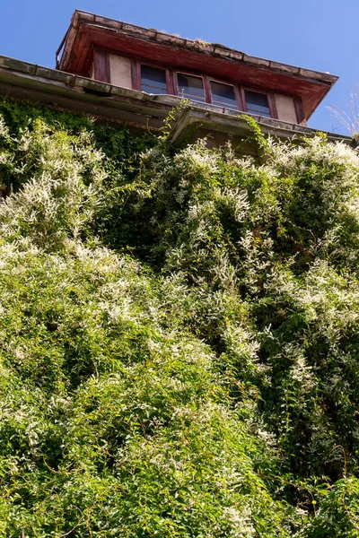 Casa Vieja Abandonada Cubierta Vegetación Hiedra Una Colina Contra Cielo — Foto de Stock