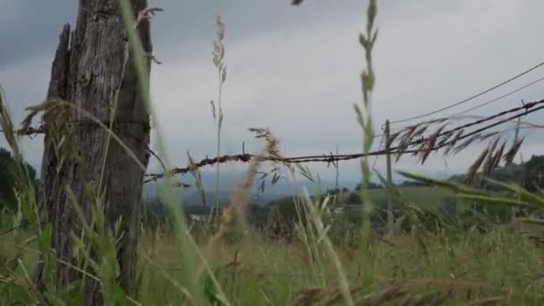 Деревянный Забор Ржавой Колючей Проволокой Холмистых Полях Высокой Травой Фоне — стоковое видео