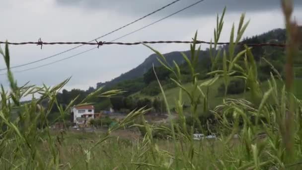 Ogrodzenie Zardzewiałego Drutu Kolczastego Wysoką Trawą Lasem Przeciwko Górom Błękitnym — Wideo stockowe