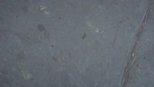 Texture Gray Dark Stone Surface Dirt Dust Cracks Abstract Natural — Stock Video