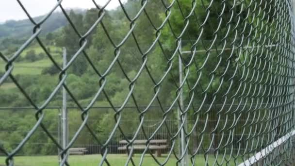 Clôture Maille Fer Dans Parc Public Vert Sauvage Sur Une — Video