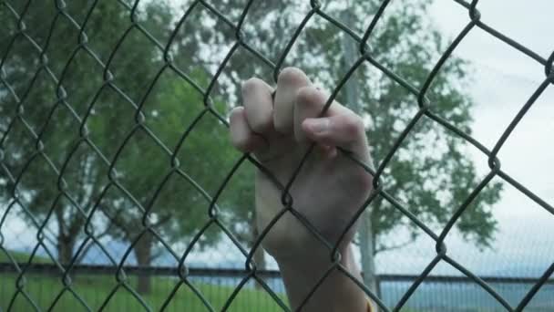 Χέρι Σφίγγει Μια Γροθιά Και Κουνάει Μεταλλικό Πλέγμα Του Φράχτη — Αρχείο Βίντεο