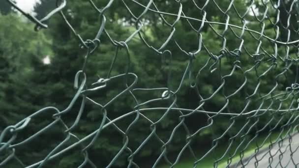 用绿色铁丝制成的旧铁链篱笆 森林里的针叶树模糊不清 戏剧化的风景越狱以逃避抗议障碍的概念 — 图库视频影像