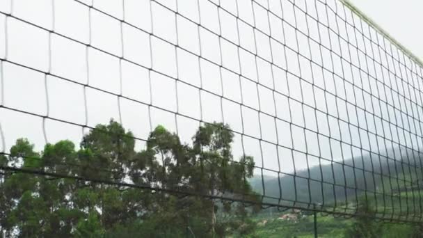 Volleyballnetz Mit Weidenzellen Großaufnahme Einem Bewaldeten Park Vor Dem Hintergrund — Stockvideo