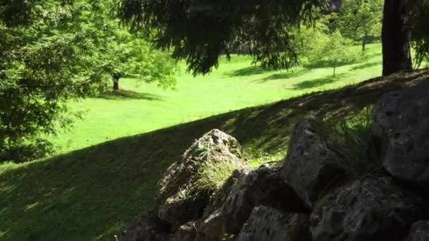 Hilly Stary Park Starożytną Kamienną Ścianą Trawnik Oświetlony Letnim Słońcem — Wideo stockowe