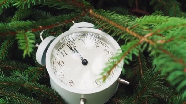 전야의 나뭇가지에 시계를 놓았습니다 시계의 크리스마스 전날을 줍니다 — 비디오
