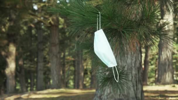 森林里松树树干上的医用面罩 — 图库视频影像