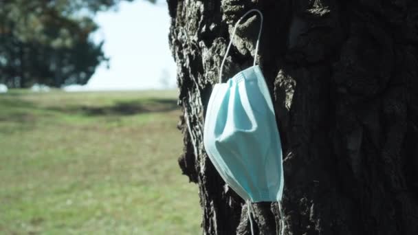 Medische chirurgische masker hangt aan de schors van een dennennaaldboom — Stockvideo